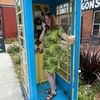 marilynwebster19