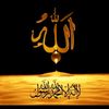 muhammad3181