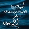 ha_al94