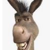 donkeydude76