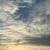 salma_19928