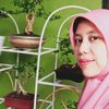 silvi.nf1