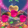 jenny_lll5