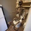 bonesoftheearth