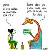 franmer27