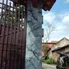 dyji6u3tb253