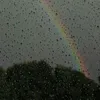 vylvrain