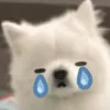 binbup011
