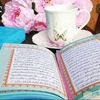 marwaelkadyy19