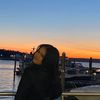 aihlovezel