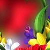 dylldwm9a8v9