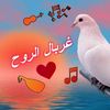 user7971370365023