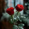 zahraazahraa37