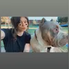 jackiepanda95