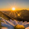sunrise.balance