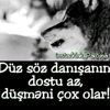 anar__085