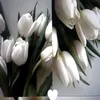 m_nna890