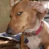 jvtwtj