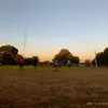 celesteavila158
