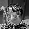 nszam