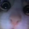 maumau020210