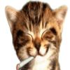 ffqwerrp