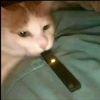 yummyciggawetes