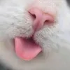 smileer43