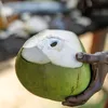 découvrir la Guinée profonde