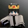 it_wc