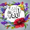jassemq6r