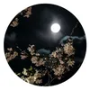 iu_op079