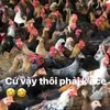 hung_daklak_1983