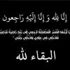 dy3wb5ecp48l