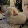 sillysnowman426