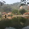 hoaiduconline