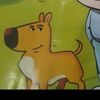 tinti_629