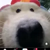 fhudxnki