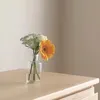 thesafaw