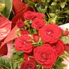 user3312944087111