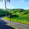 cepi_umbara97