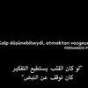 jana.h.ahmed24