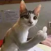 mrhbimonn