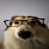 nobody_nose1