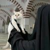 💝صَفا💕
