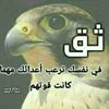 user6715485466687
