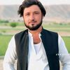 walikhan70700