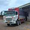 cuongquoc668