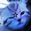 starvrs_x