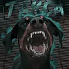 dog_sara_top